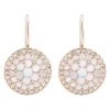 Fossil VINTAGE GLITZ Boucles D'oreilles Rosegold Coloured Femme -Fossil Soldes 2022 3f27f30416c64e6abf58d07067f37e33