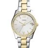 Fossil Femme SCARLETTE MINI Montre Gold Coloured -Fossil Soldes 2022 afe96b18bfe745d895b67c0aa84572a2